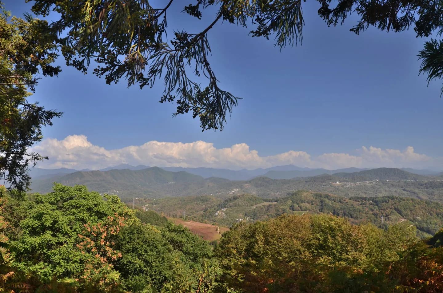 Prima del resort: la storia antica di Sochi