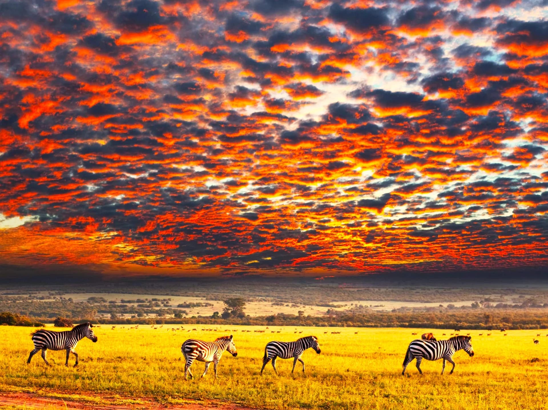 South Africa · original destination photography