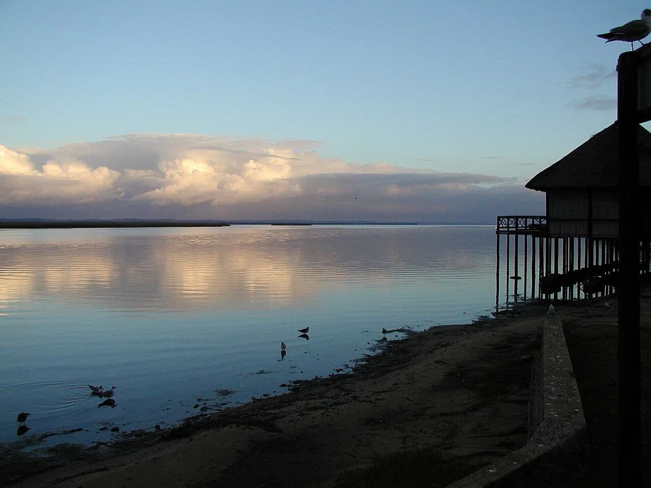 Парк водно-болотных угодий iSimangaliso