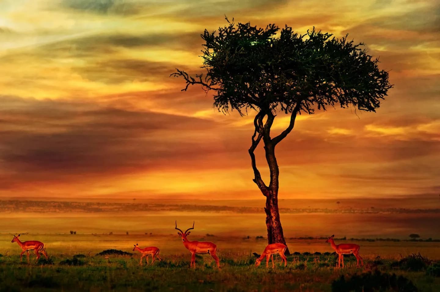 Climas Regionais da África do Sul · 2