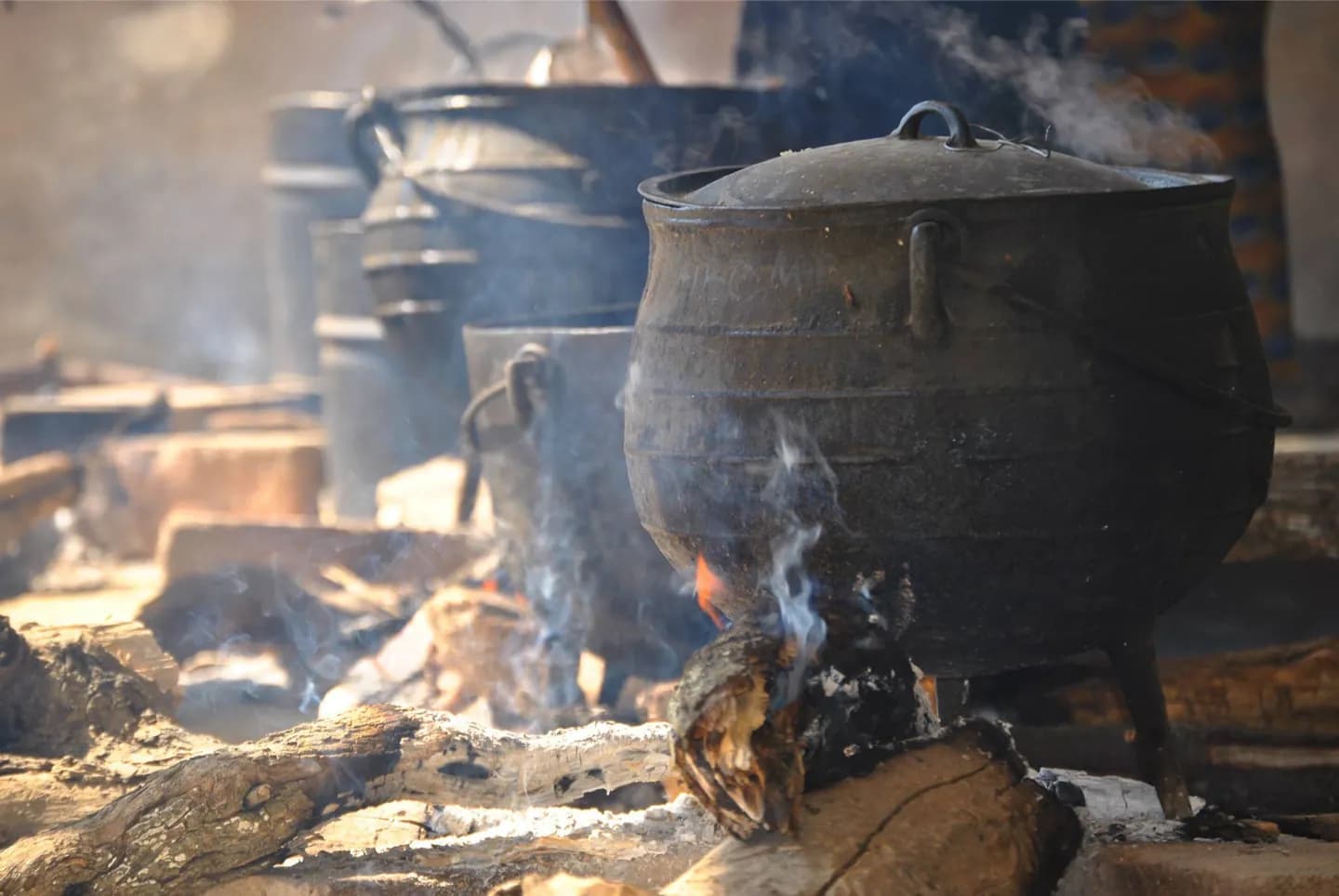 Grampos da Culinária Indígena Sul-Africana · 2