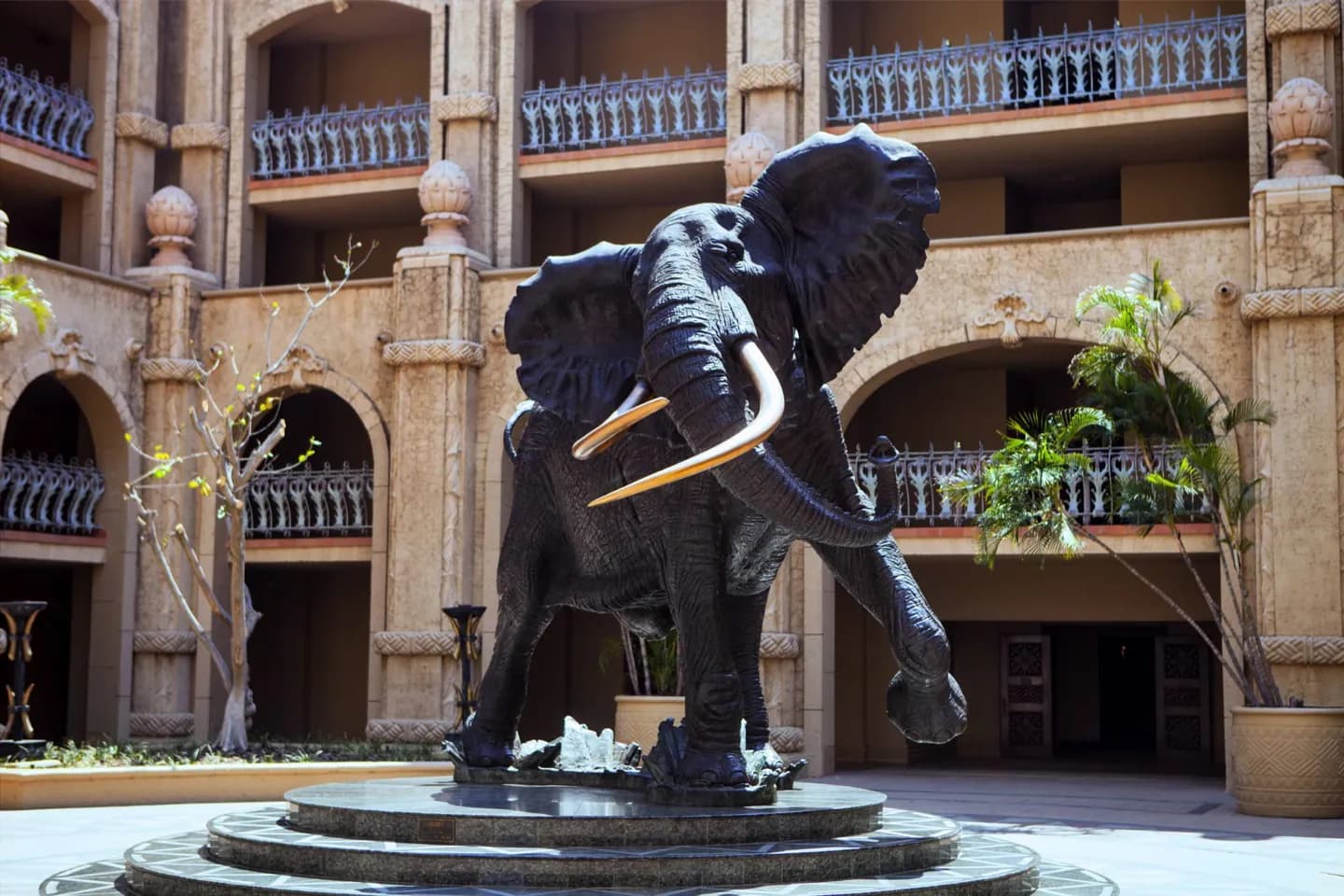 Etiqueta Diária na África do Sul · 2