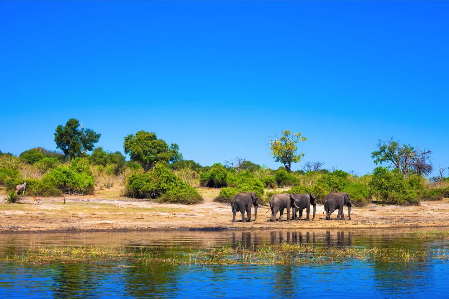 Orientarsi in Sudafrica
