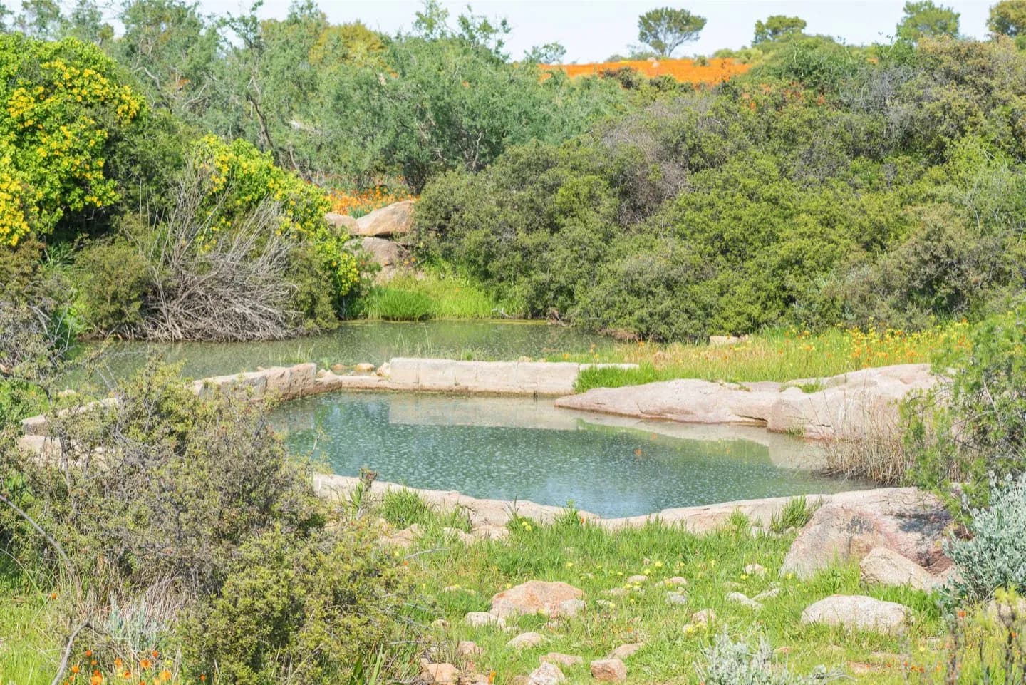 Parque Nacional Namaqua