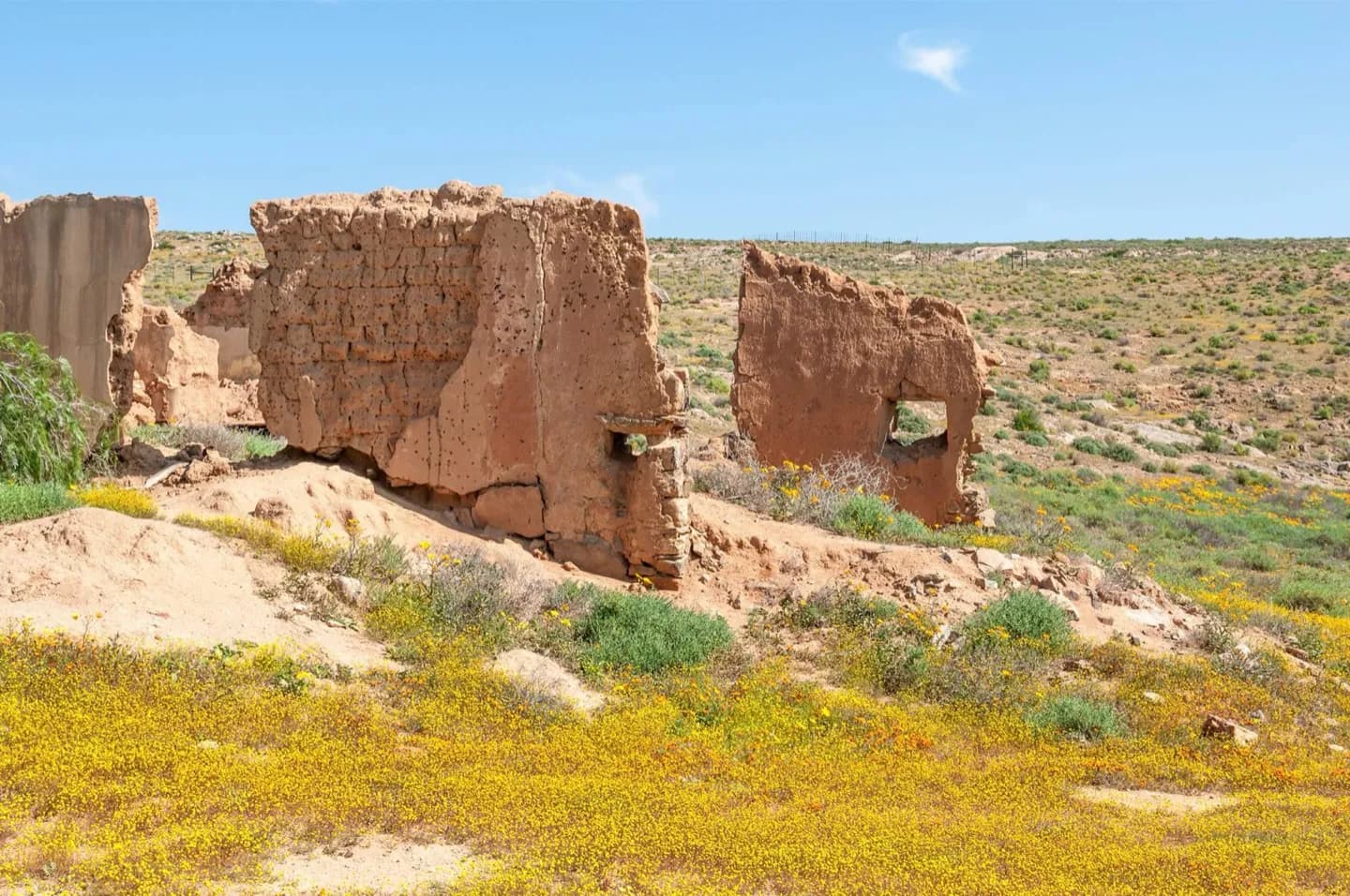 Parque Nacional Namaqua · 2
