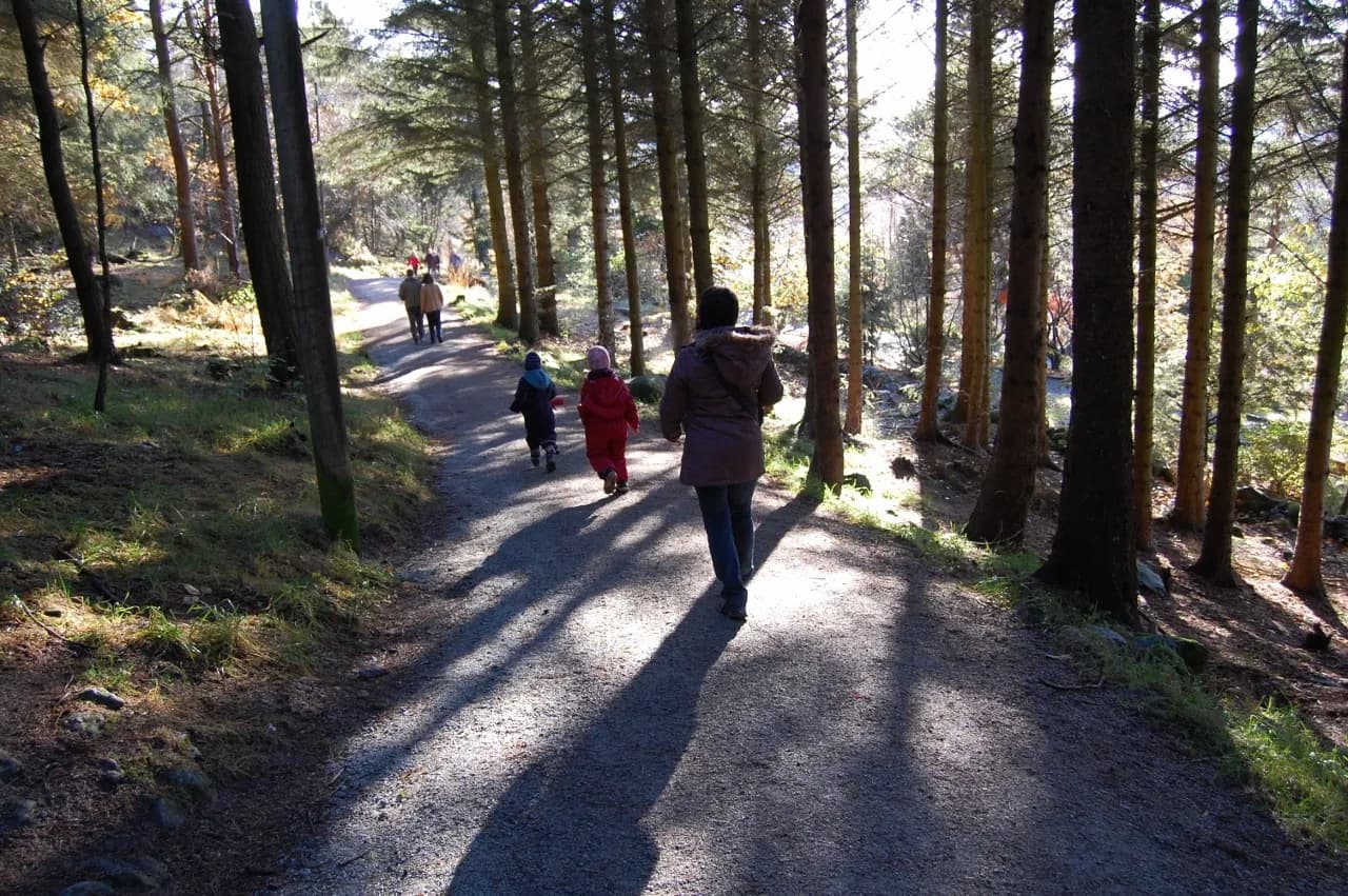 Floresta Sørmarka