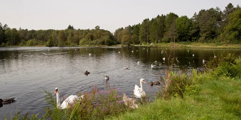 Parc Vannassen