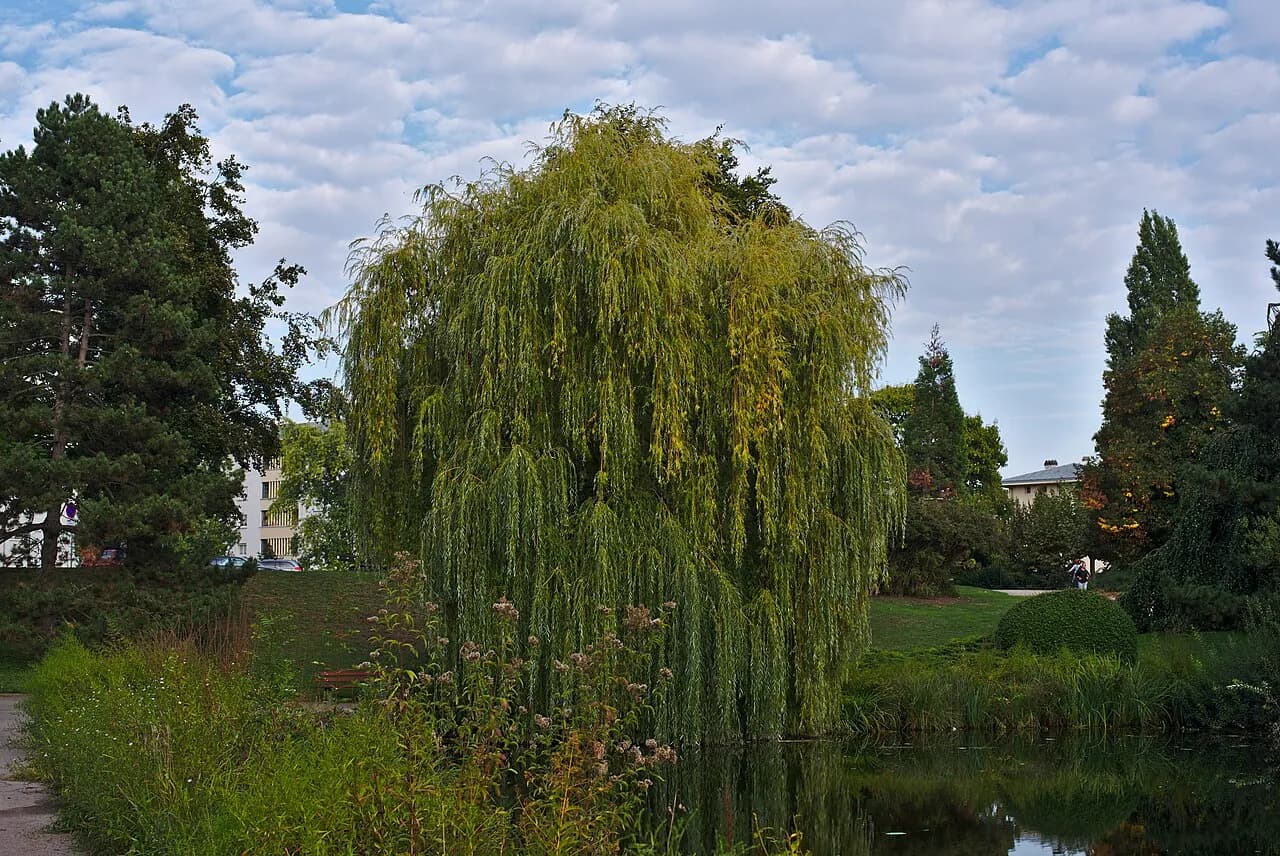 Parc de la Citadelle
