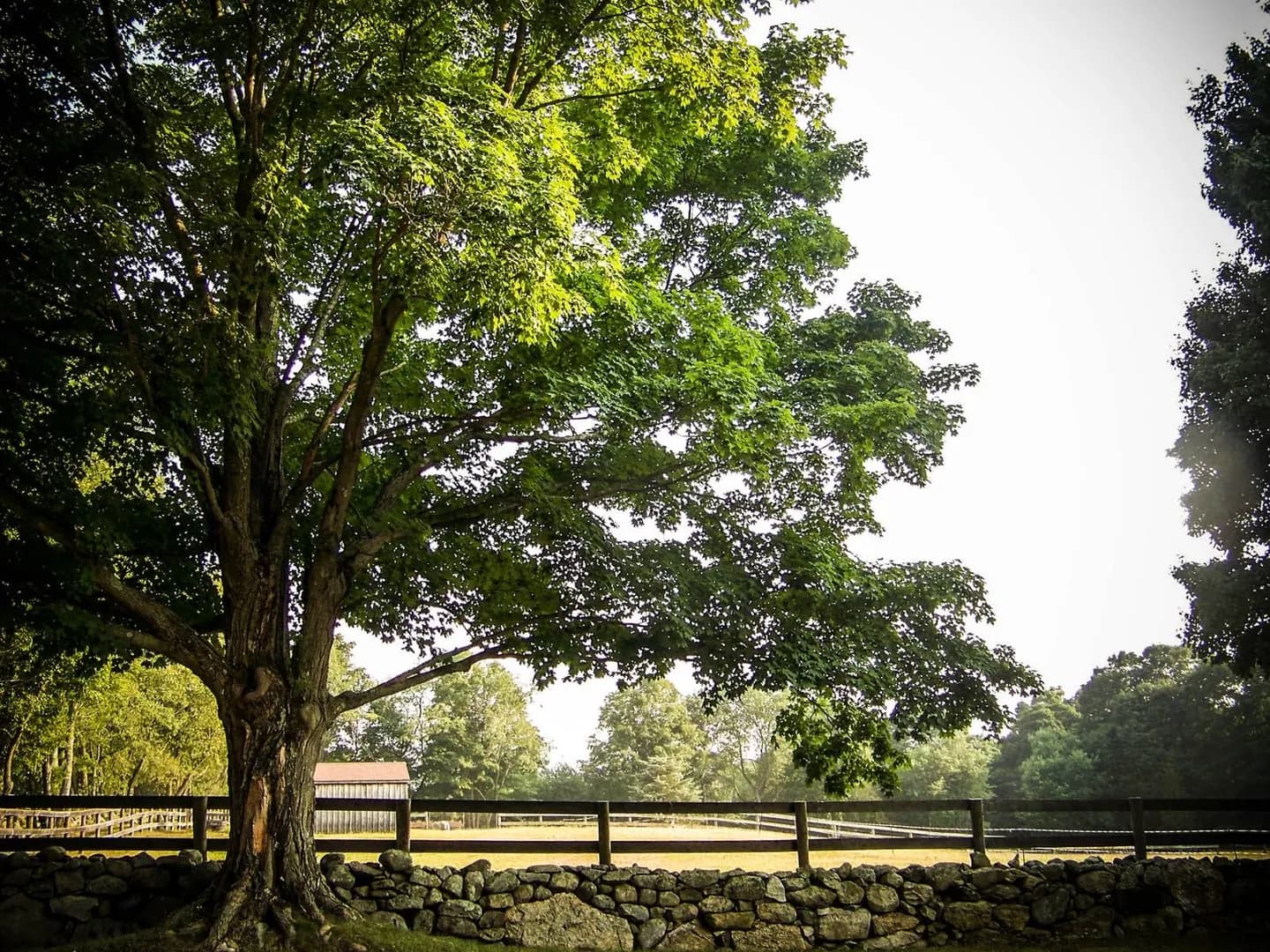 Elizabeth Farm