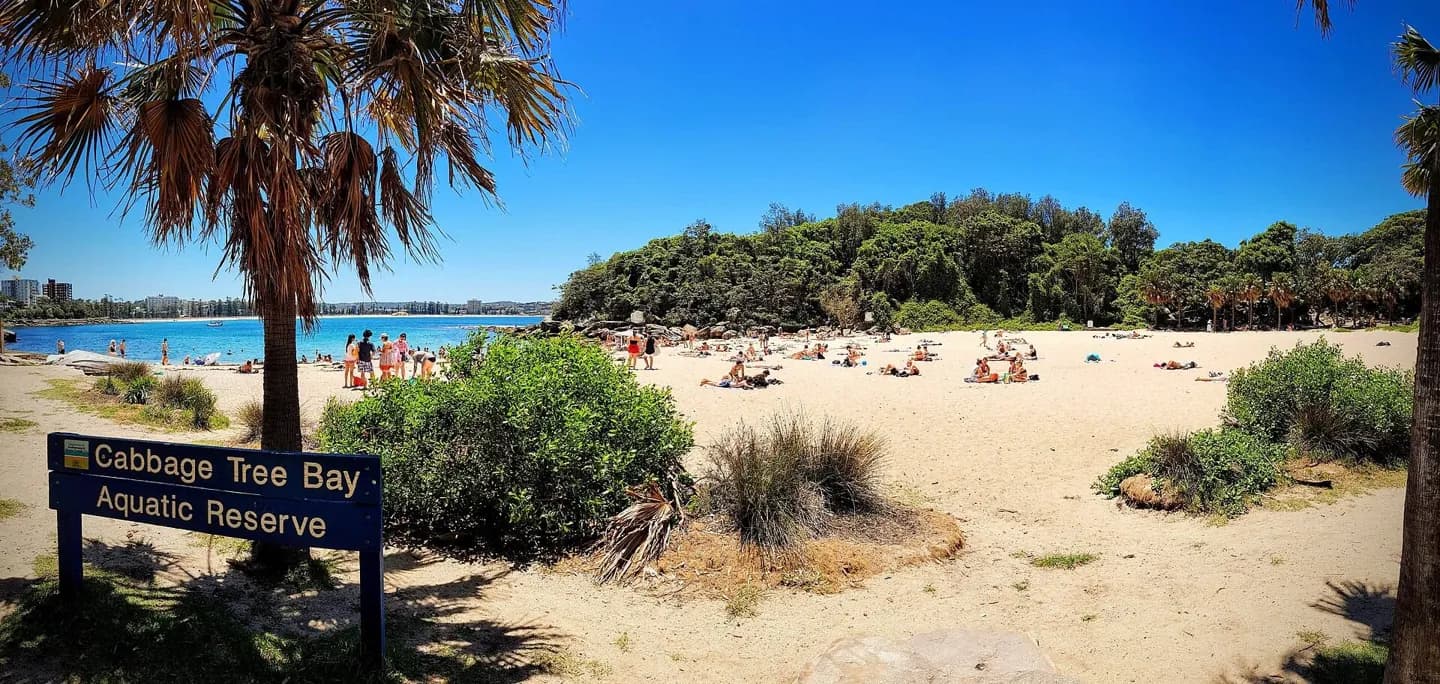 Playa Shelly, Manly