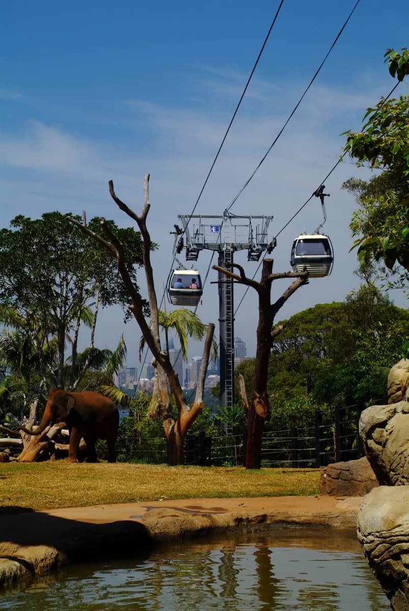 Taronga Zoo Sydney