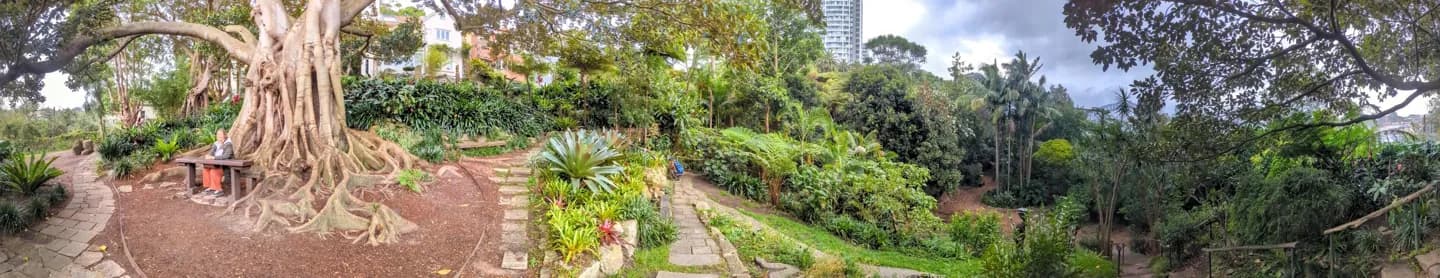 Jardim Secreto de Wendy Whiteley