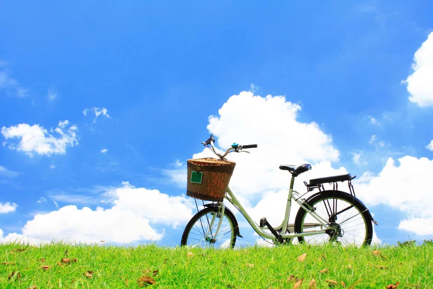 Cycling in Sydney · 2