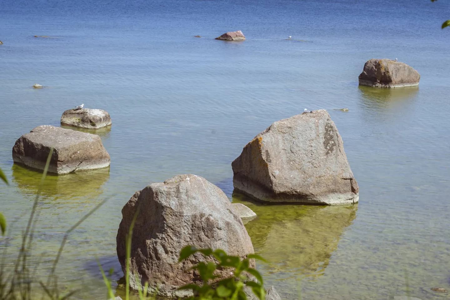 Haabersti: Zoo, Museum and Coast