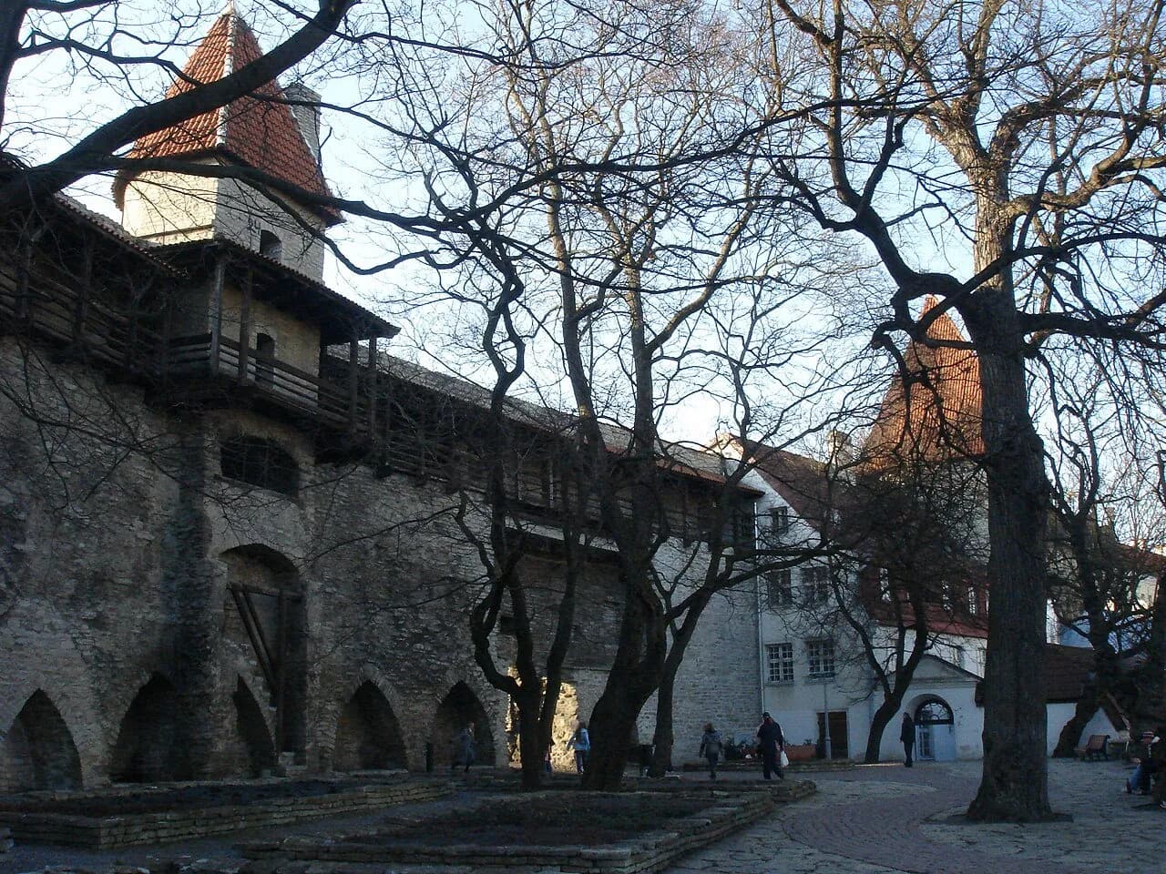 Jardín del Rey Danés