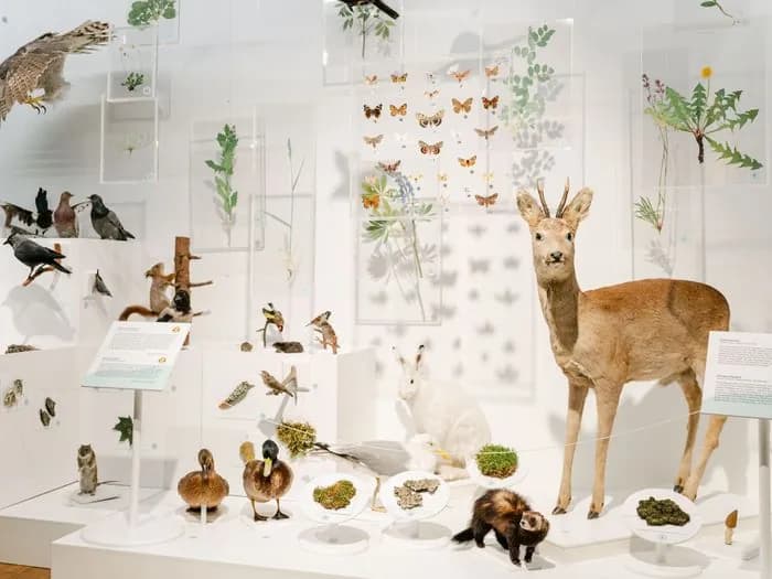 Estnisches Naturhistorisches Museum