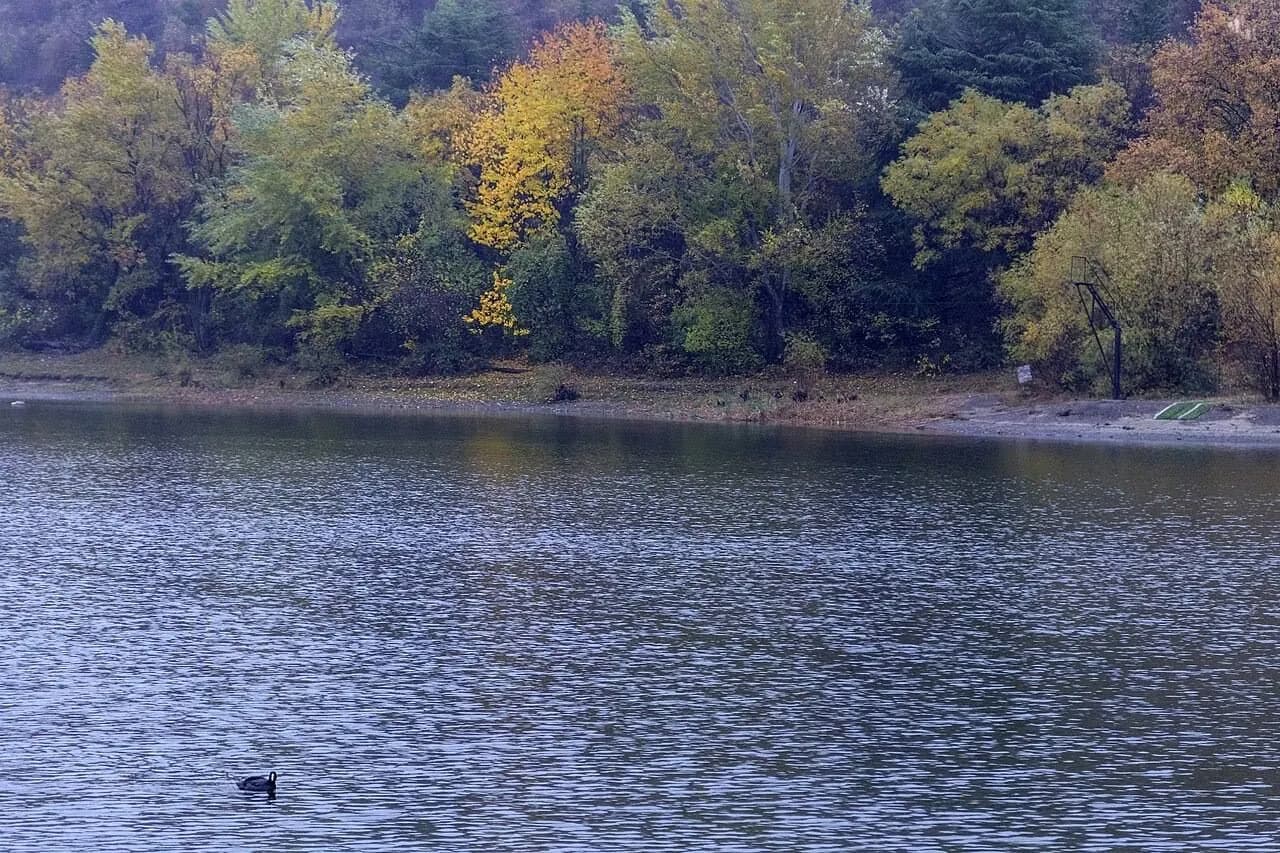 Turtle Lake