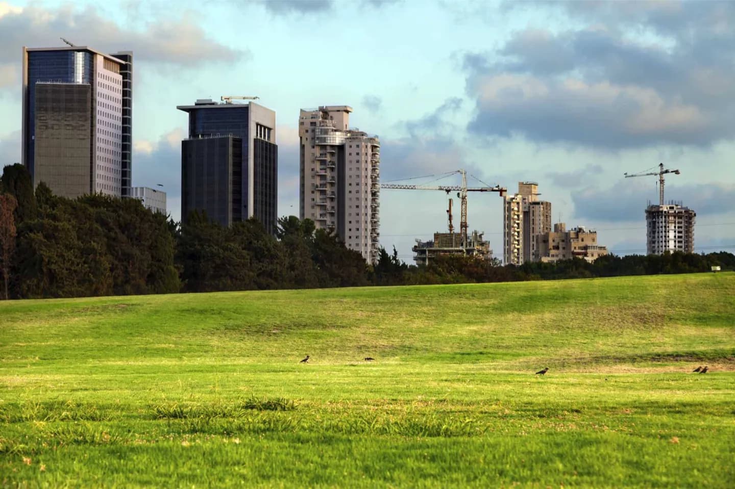 Ramat Aviv · 2