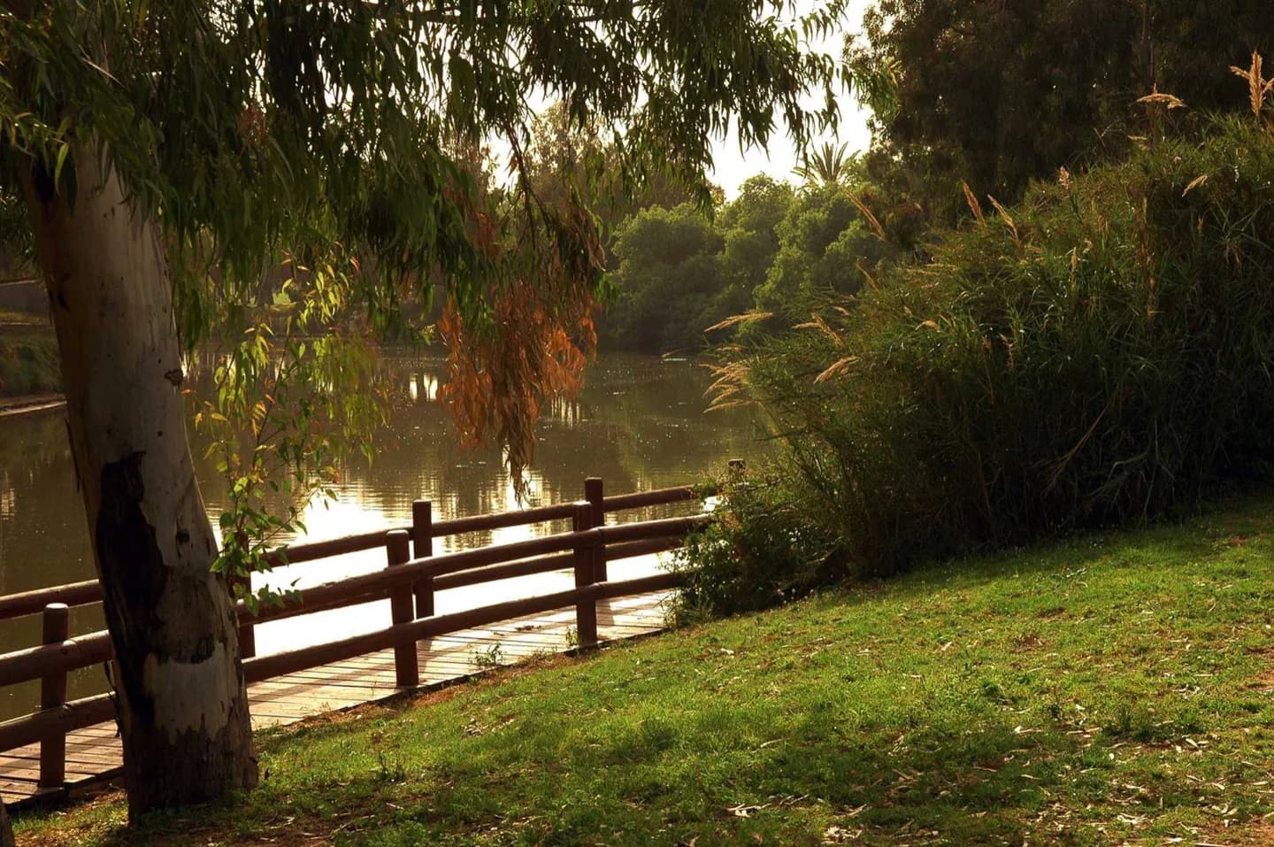 Yarkon Park · 2