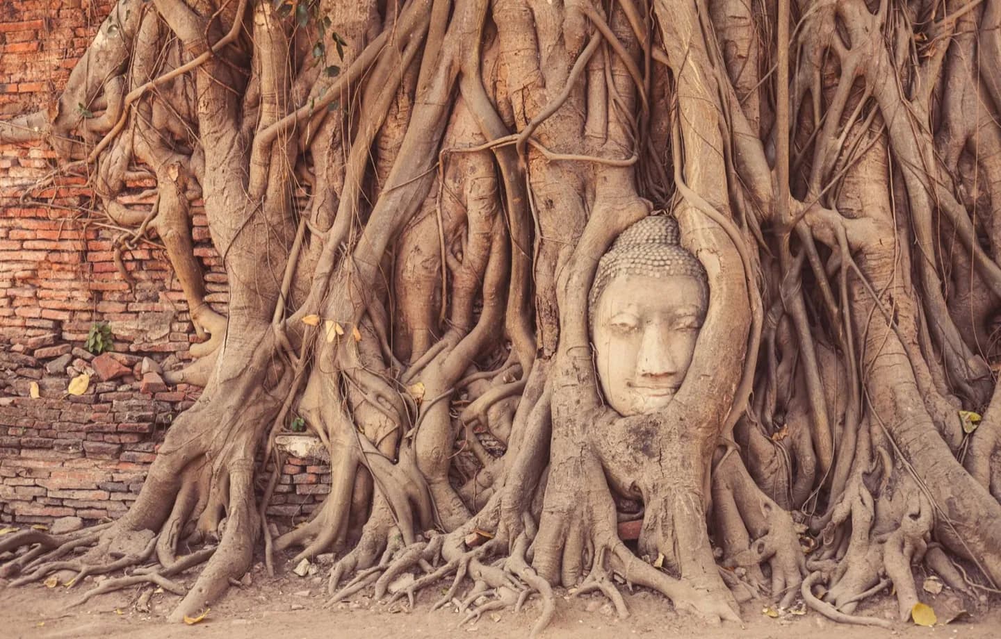 Ayutthayas Flussreich