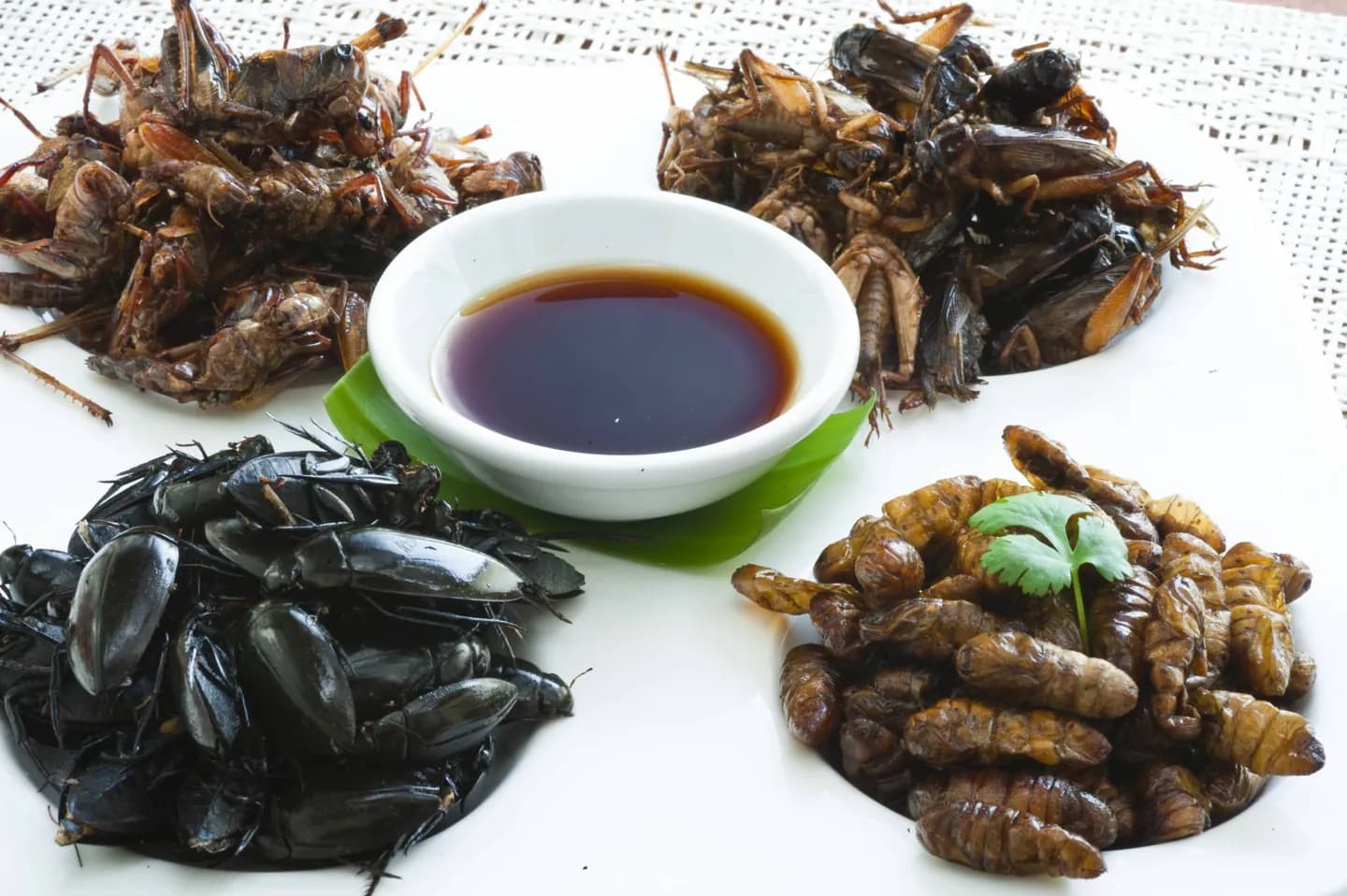 Bocadillos de insectos y cocina real tailandesa · 2
