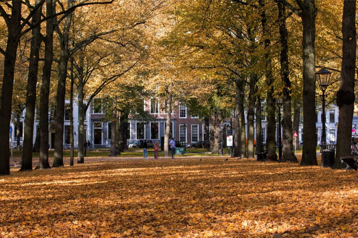 Lange Voorhout · 2