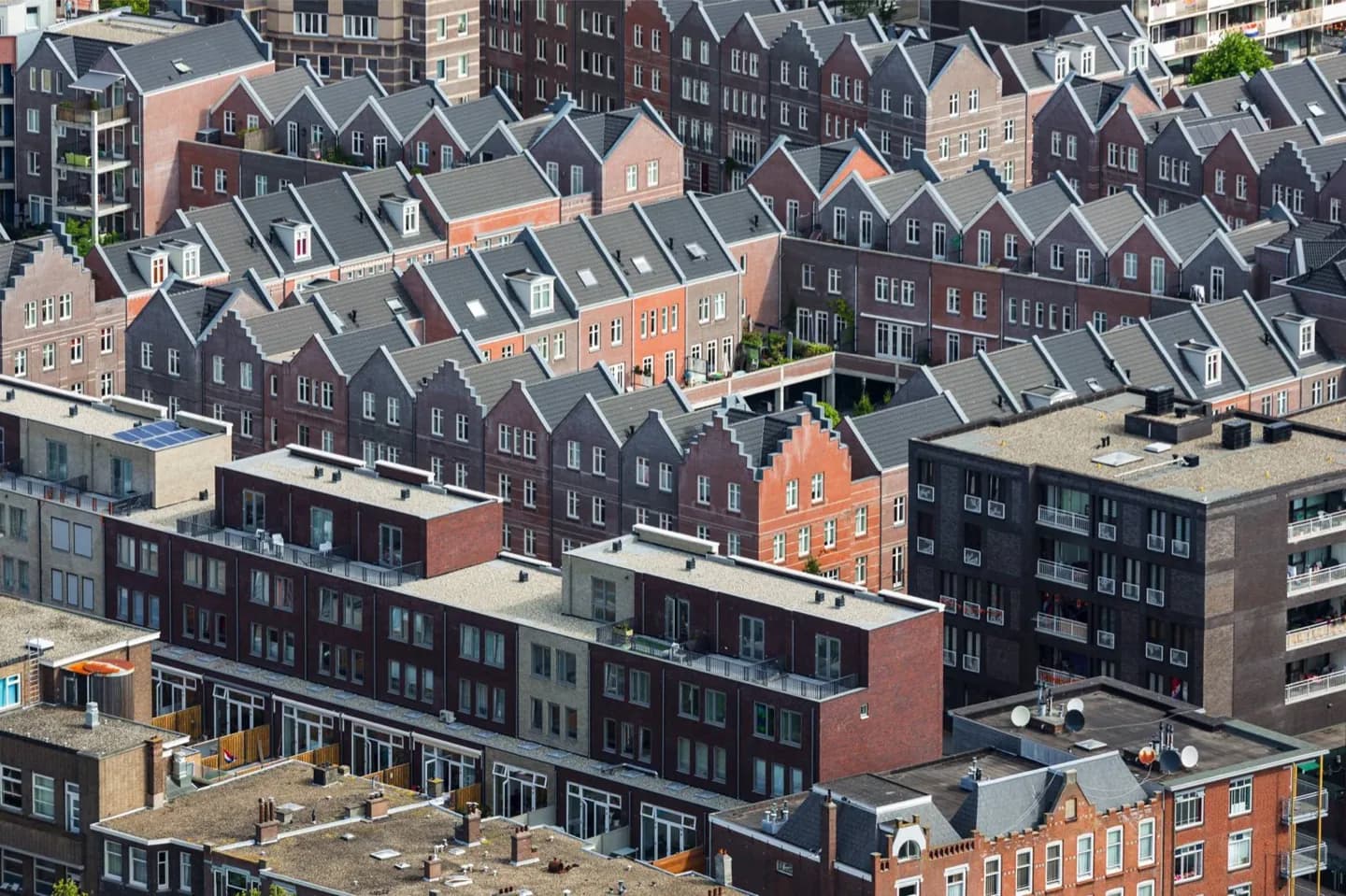 Die Bezirke von Den Haag