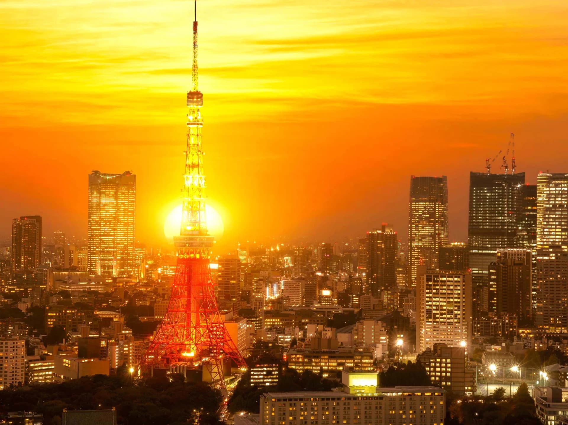 Tokyo · original destination photography