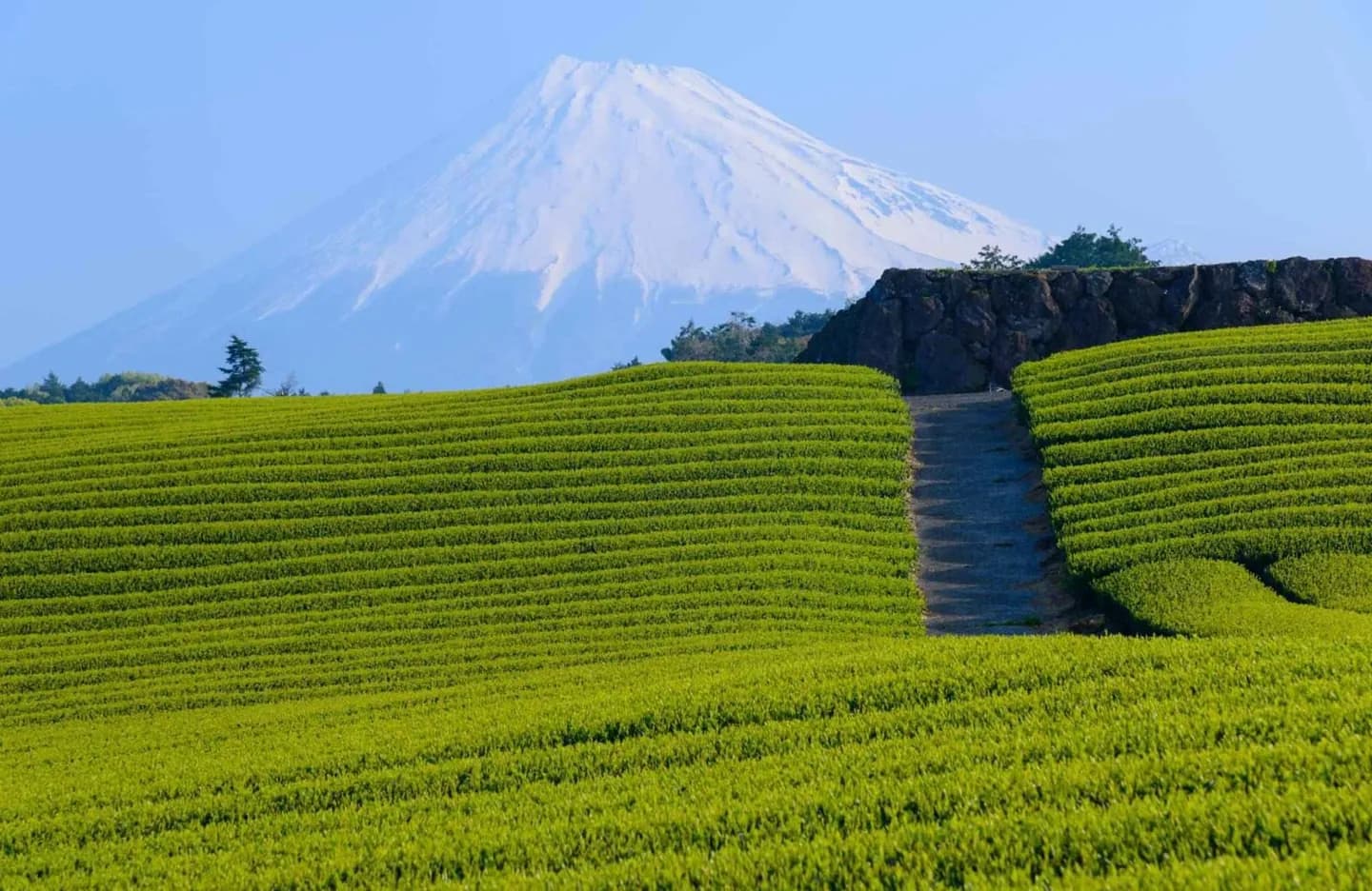 Hakone · 2