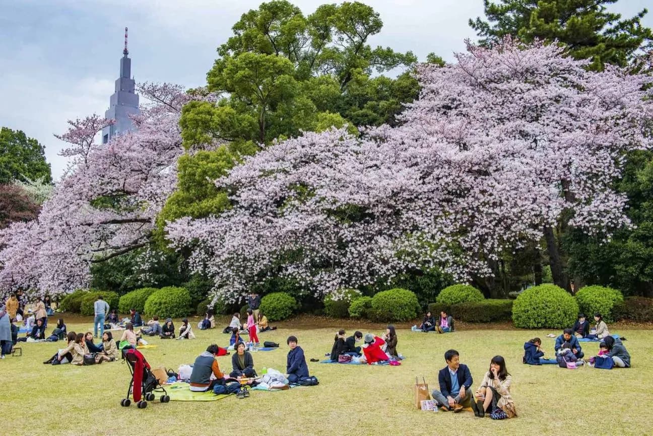 Kitanomaru Garden · 2