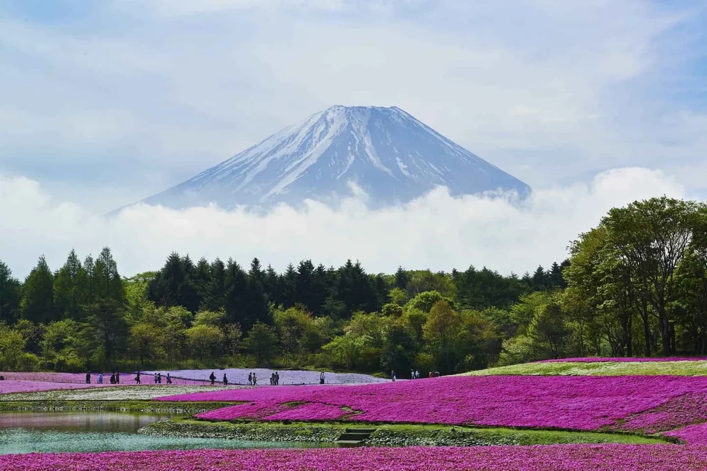 Mount Fuji