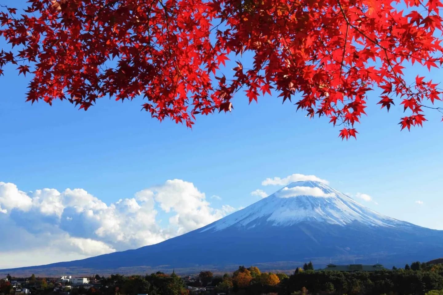 Mount Fuji · 2