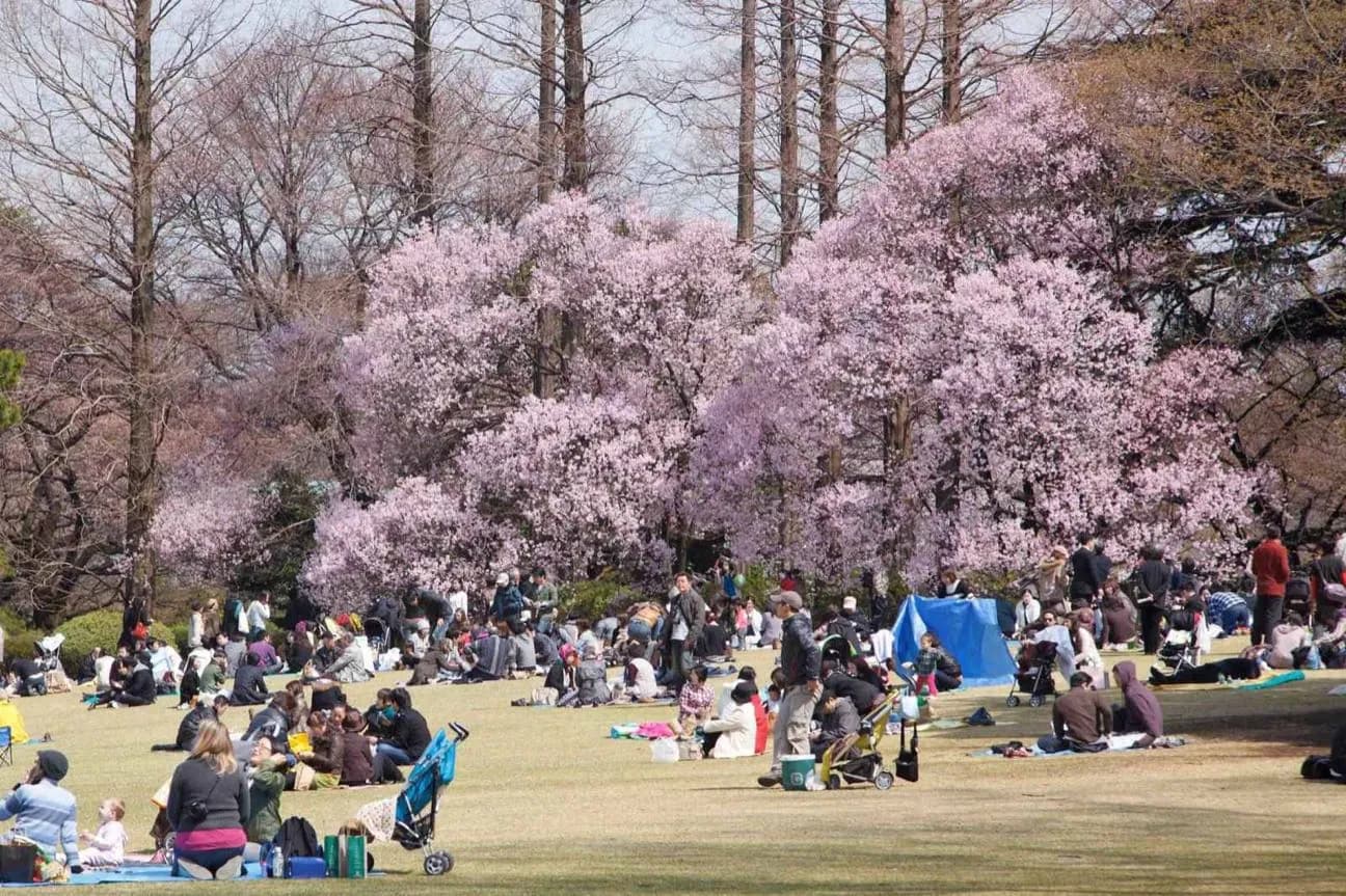 Shinjuku Gyoen Nationalgarten · 3