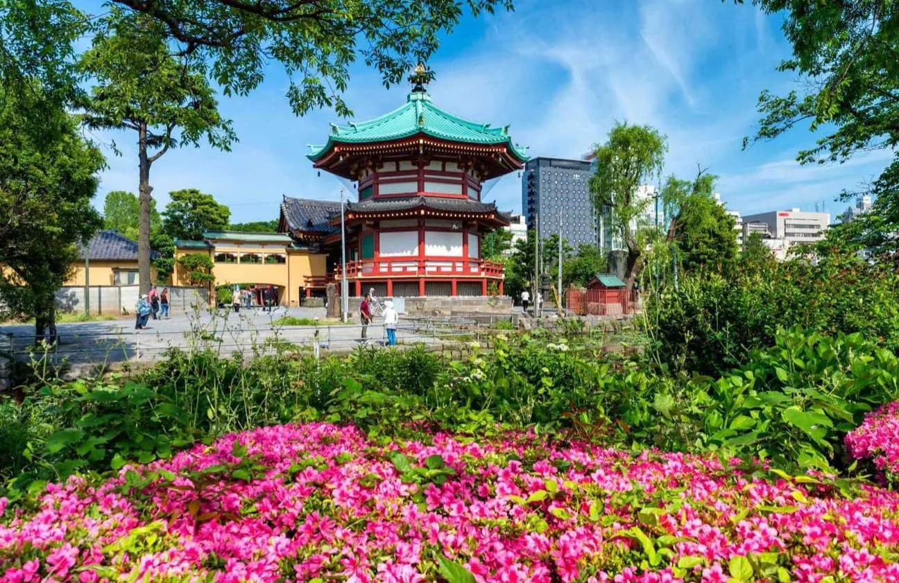 Shinobazu Pond · 2