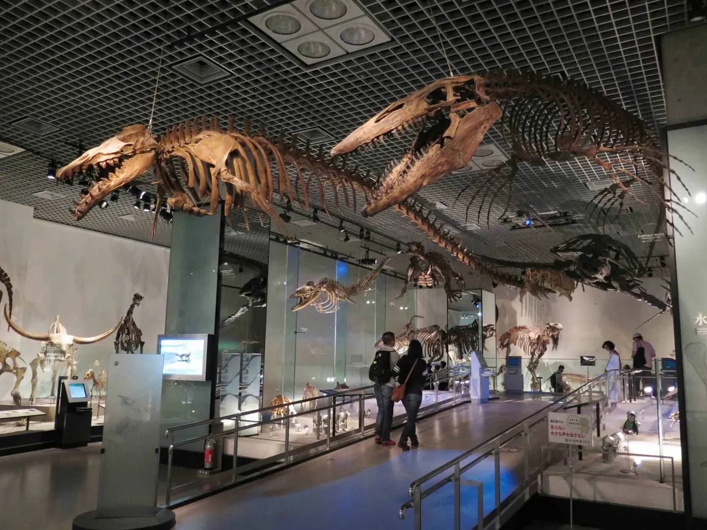 Museo Nacional de Tokio · 2