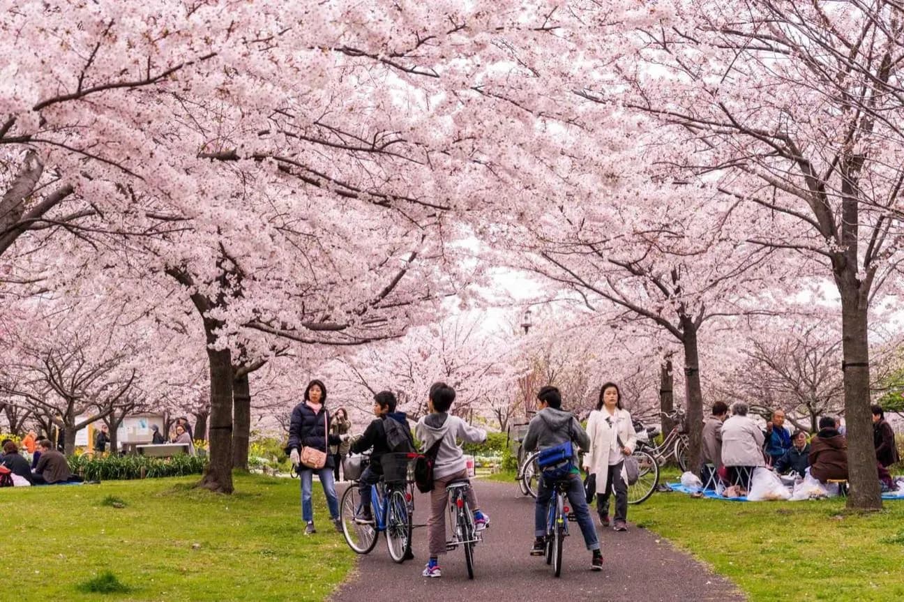 Walking and Cycling in Tokyo · 2