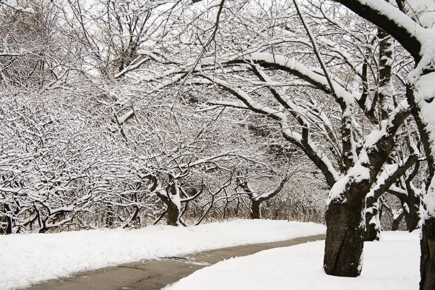 Parco alto