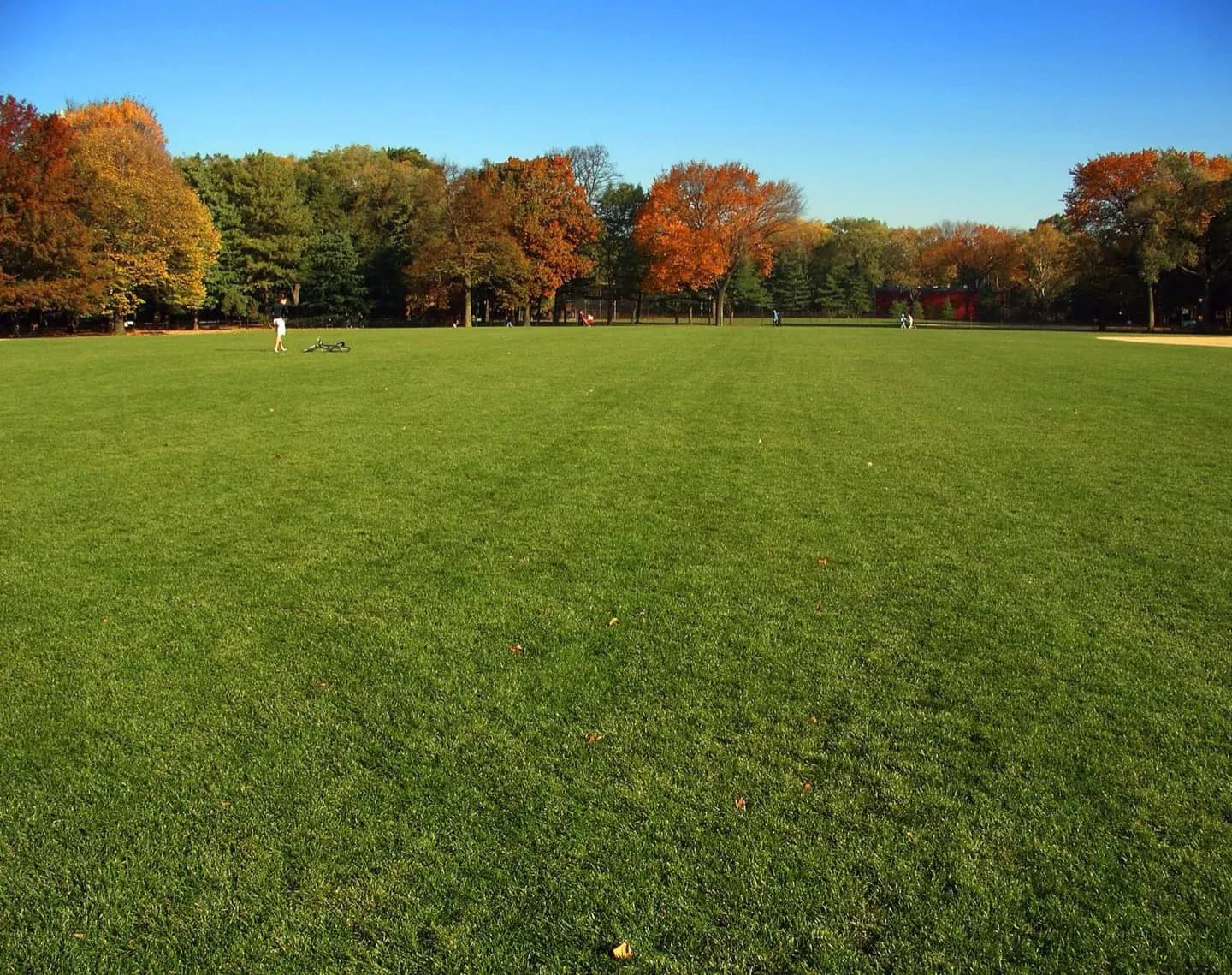 Parque Lawrence