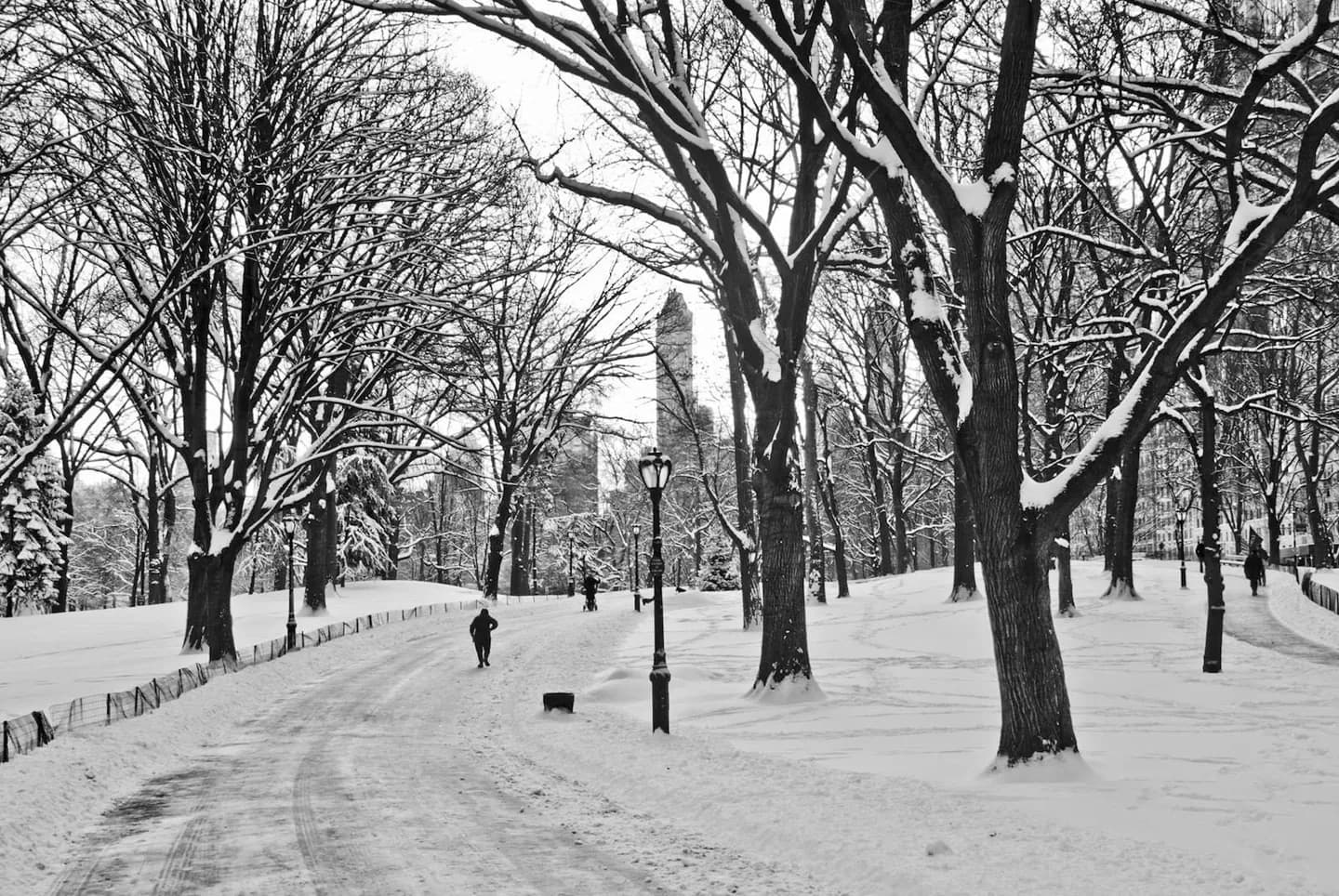 Parque Lawrence · 2