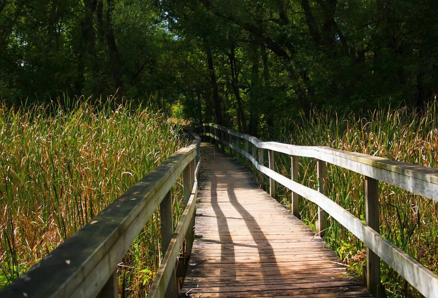 Unionville · 2