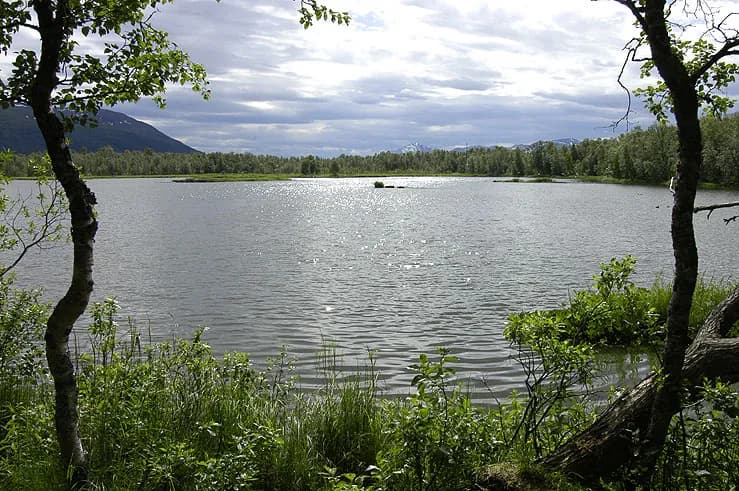 Prestvannet
