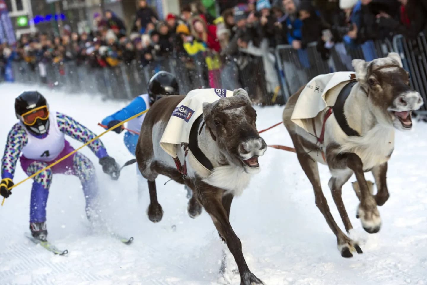 Esportes e atividades ao ar livre em Tromsø · 2