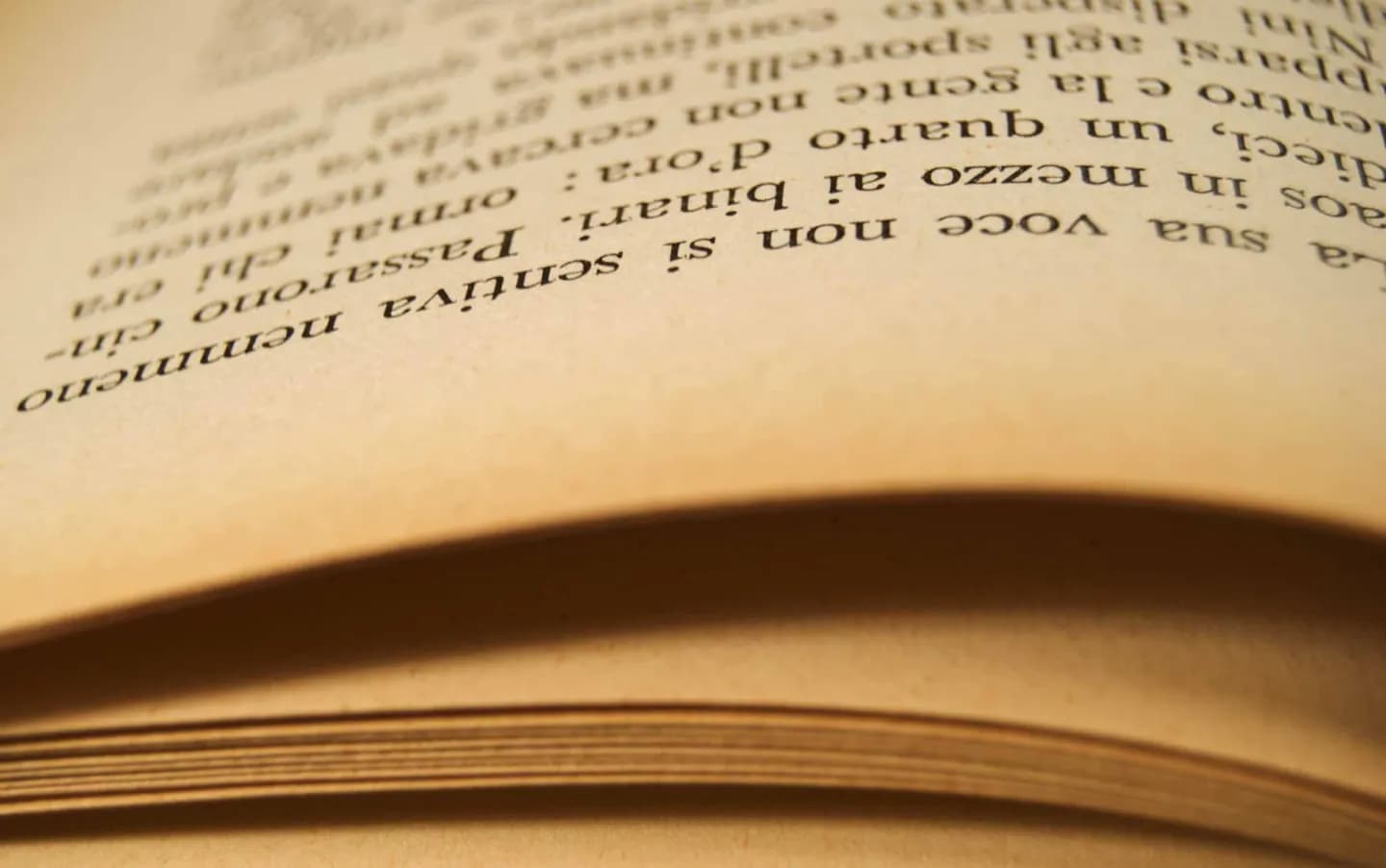 Biblioteca Real de Turim · 2