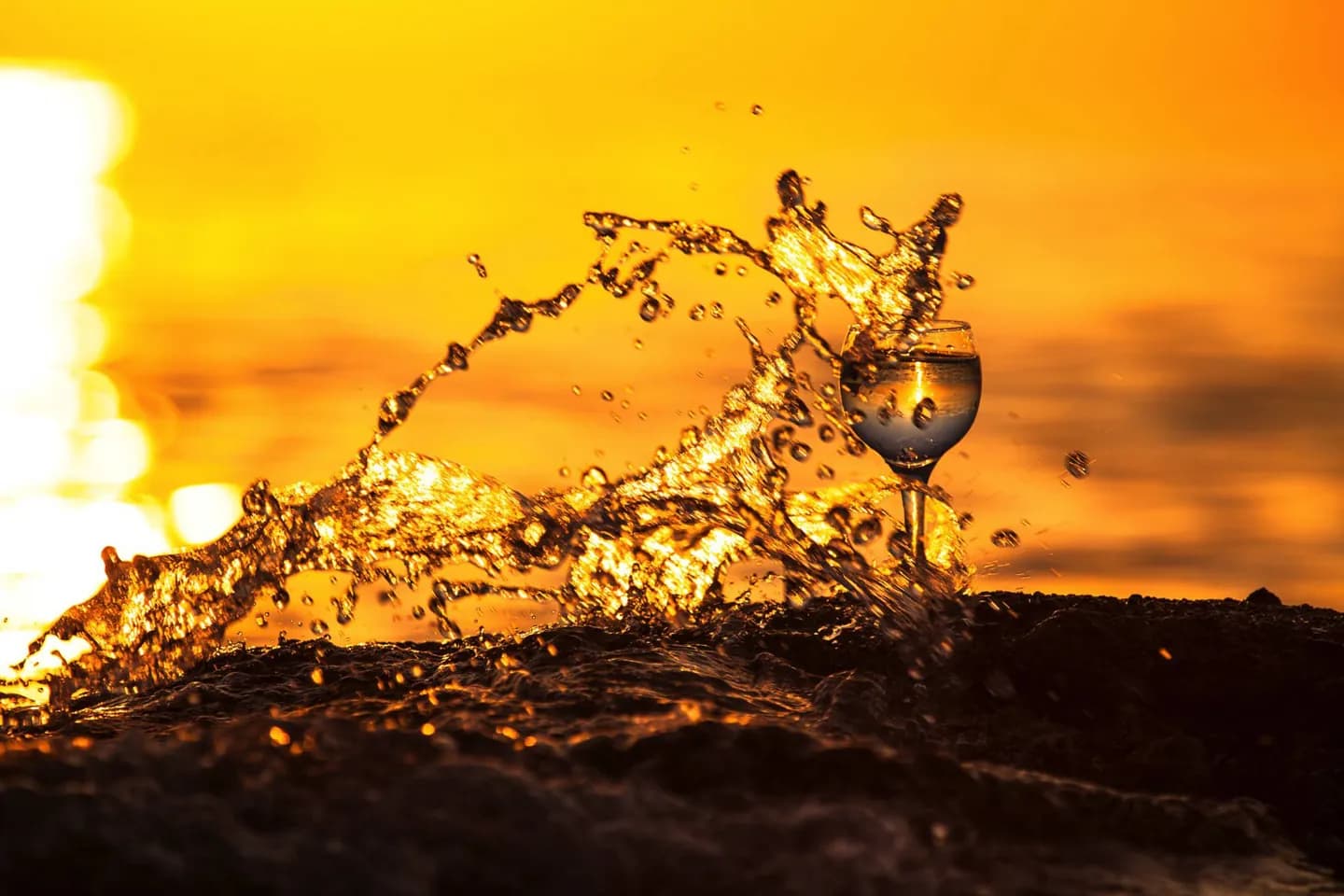 Les bases de l'alimentation, de l'eau et de la santé · 2