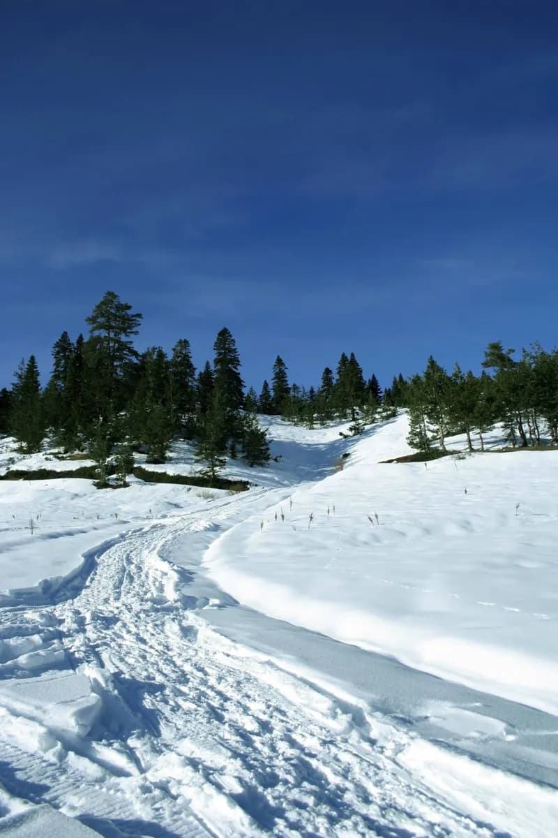 Mount Ilgaz National Park · 2