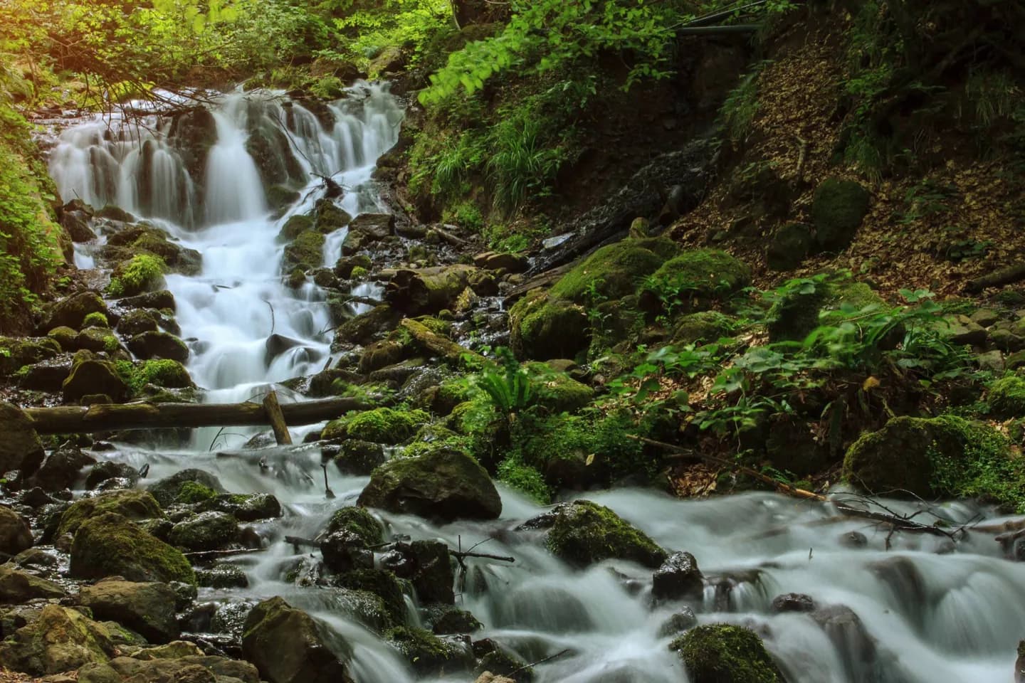 Yedigöller Nationalpark · 2