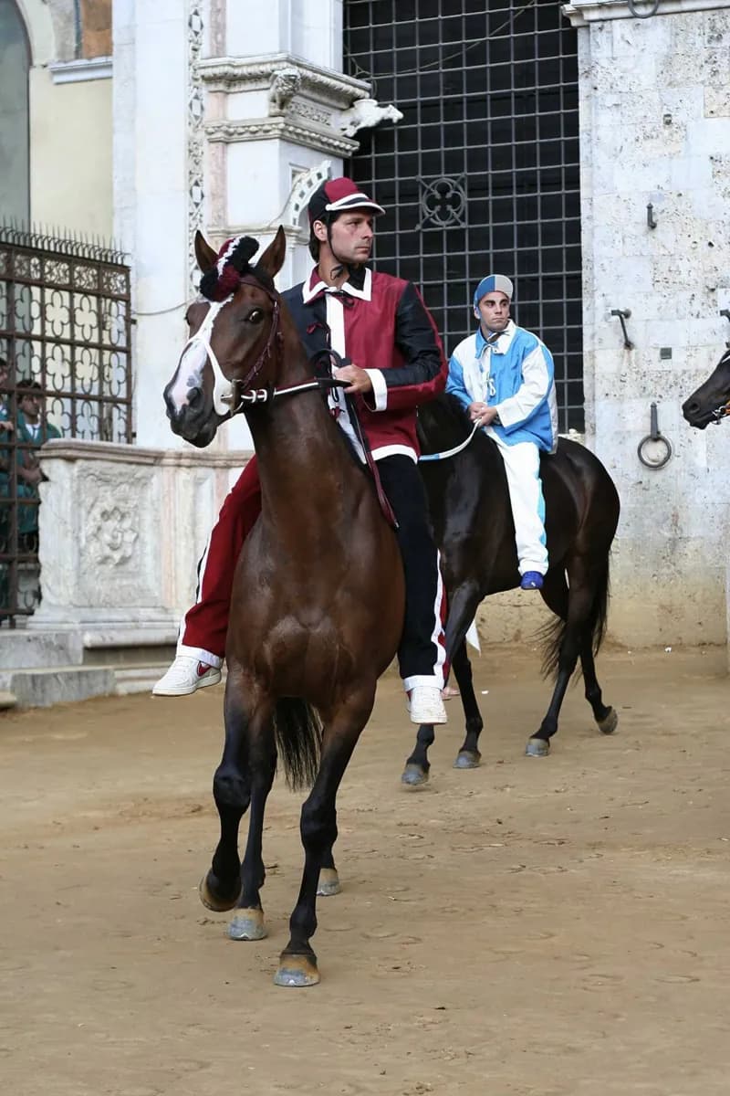 Understanding the Palio di Siena · 2