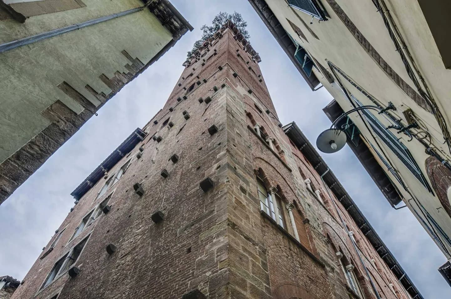Guinigi Tower