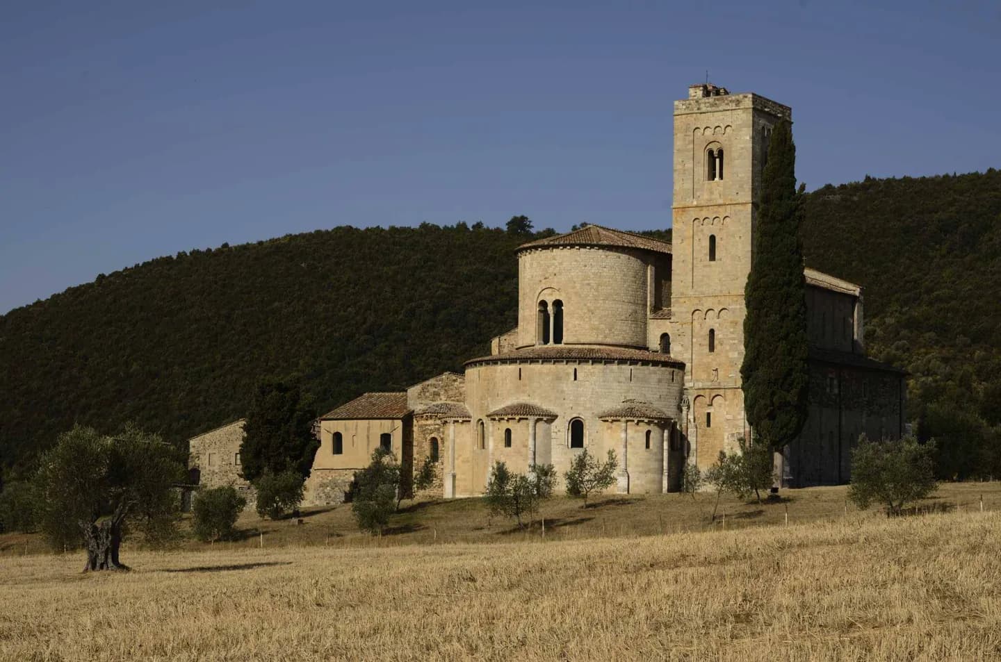 Montalcino · 2