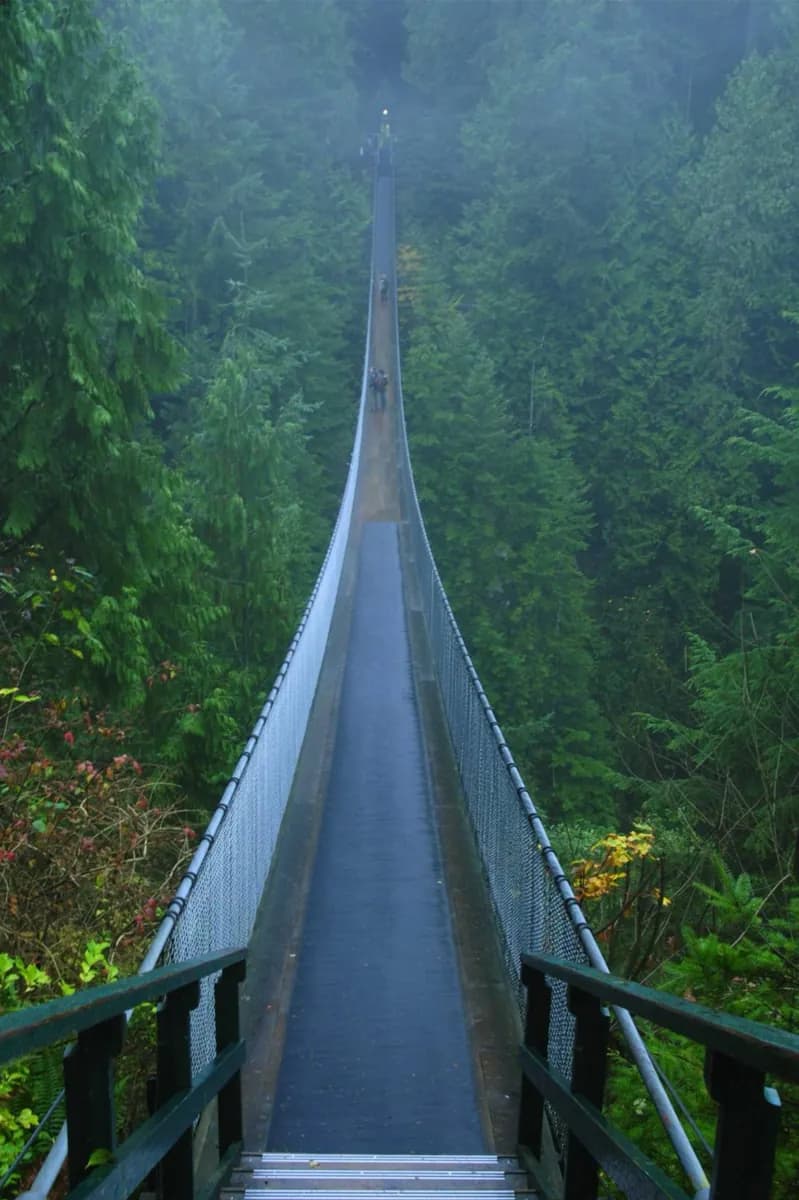 Parque del Puente Colgante Capilano · 2